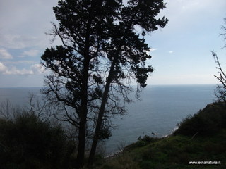 Acque_Grandi - 27-01-2013 12-22-35.JPG